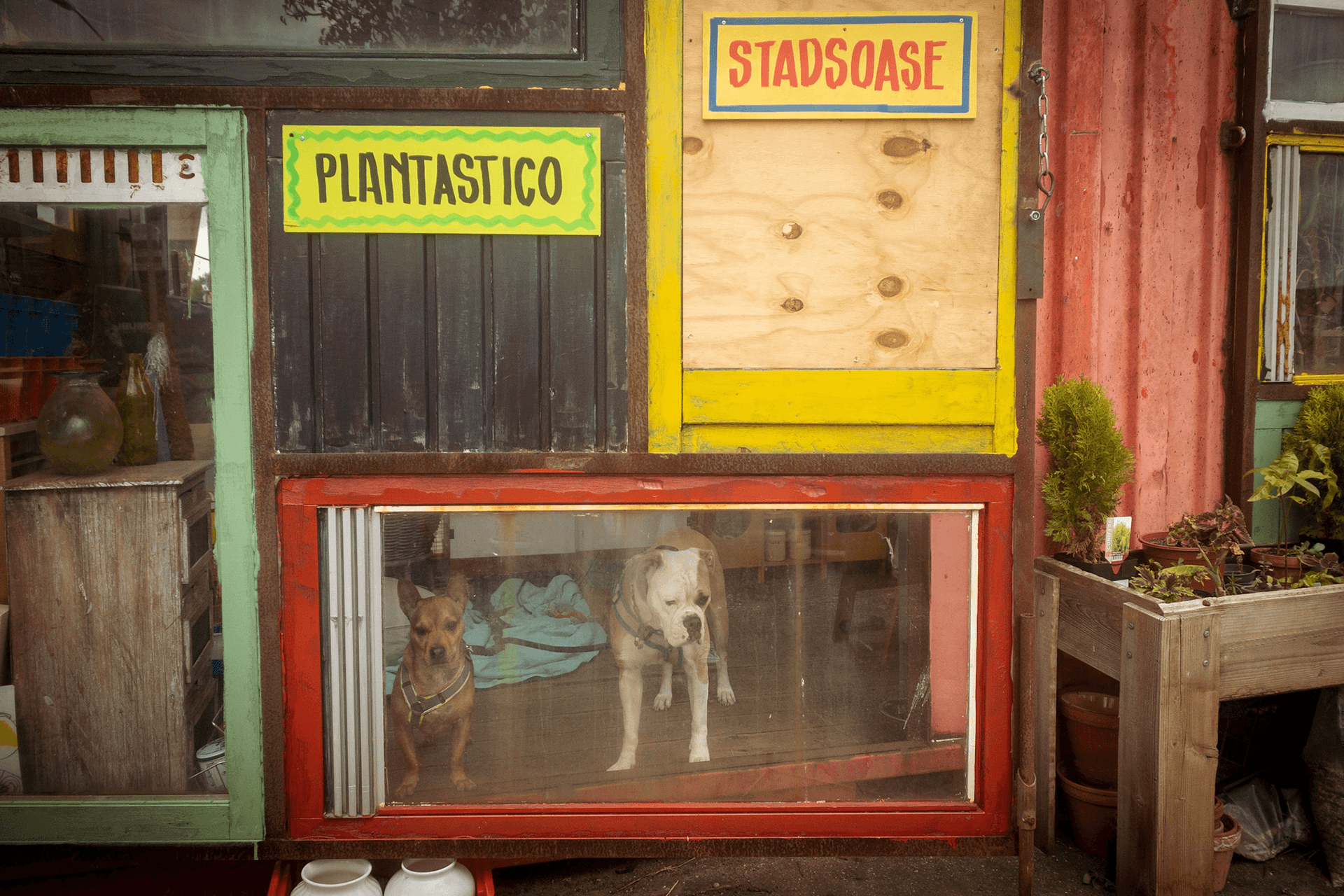 Bordjesman Plantastico Hal 25